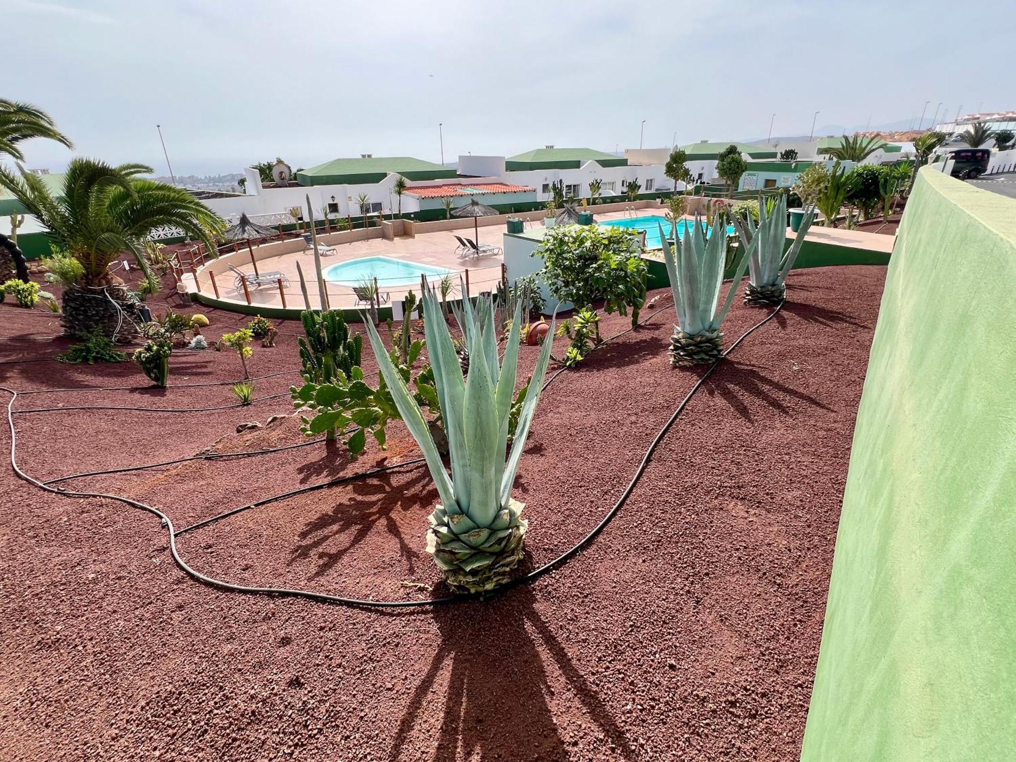 Mit Meerblick Und Gemeinschaftspool Apartment *